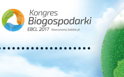 Zmiany klimatyczne – adaptacja czy przeciwdziałanie?