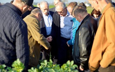 Ekonomia i jakość – studium RGD w Brodach UP w Poznaniu